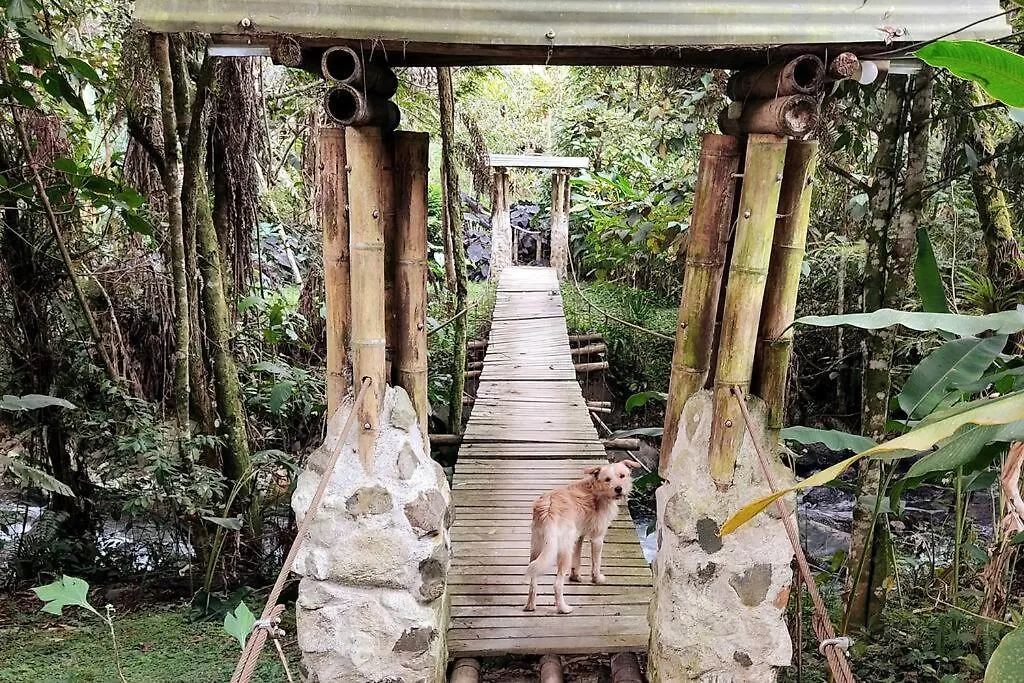 Vivienda campestre en Pance ideal para familias o grupos Cali Colombia