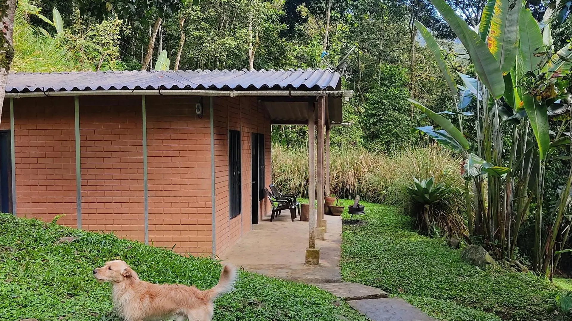 Vivienda campestre en Pance ideal para familias o grupos Cali Colombia