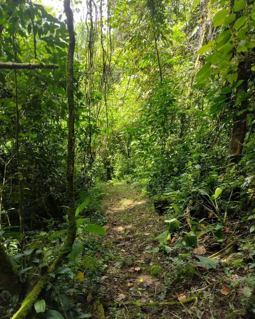 Villa Cucu Ardilla Vivienda Campestre En Pance Cali Kolumbien